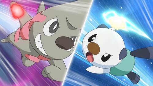 Pokémon - S14E31: Ash and Trip's Third Battle!