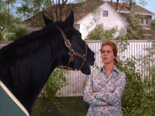 Bewitched - S2E25: The Horse's Mouth
