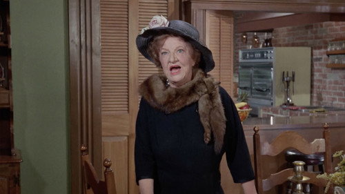 Bewitched - S3E31: Bewitched, Bothered and Infuriated