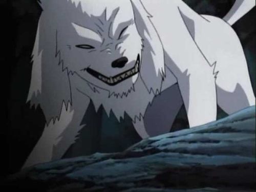 Naruto - S4E184: Kiba's Long Day!