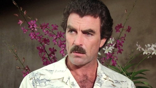 Magnum, P.I. - S8E4: Tigers Fan