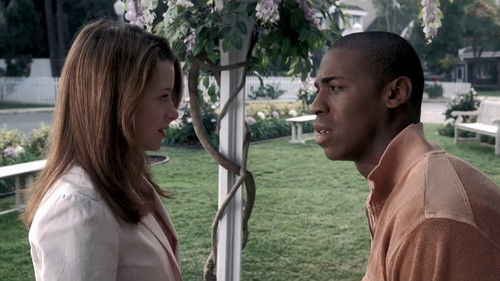Desperate Housewives - S2E13: There's Something About a War