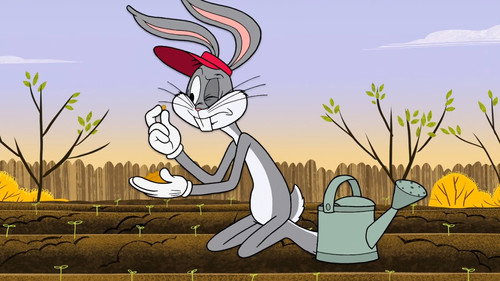 New Looney Tunes - S1E23: Bugs in the Garden