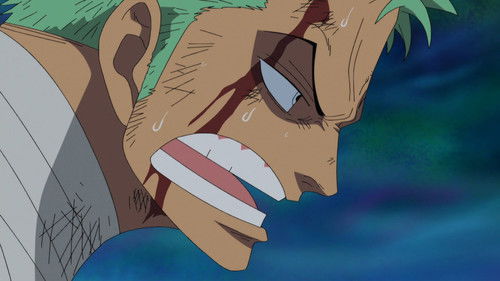 One Piece - S13E509: Encounter! The Great Swordsman Mihawk! Zoro's Self-Willed Deadly Struggle!