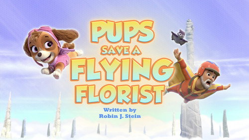 PAW Patrol - S12E18: Pups Save a Flying Florist