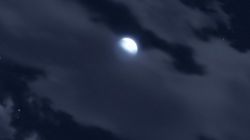 Naruto Shippūden - S20E492: Shikamaru's Story, A Cloud Drifting in the Silent Dark, Part 4: Cloud of Suspicion