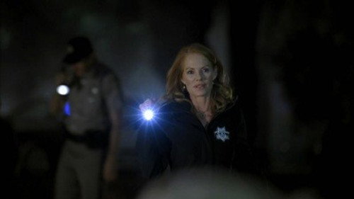 CSI: Crime Scene Investigation - S11E3: Blood Moon