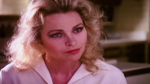 Knots Landing - S8E24: Neighborly Conduct