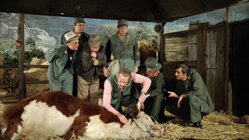 M*A*S*H - S10E11: The Birthday Girls