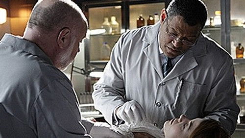 CSI: Crime Scene Investigation - S9E14: Miscarriage of Justice