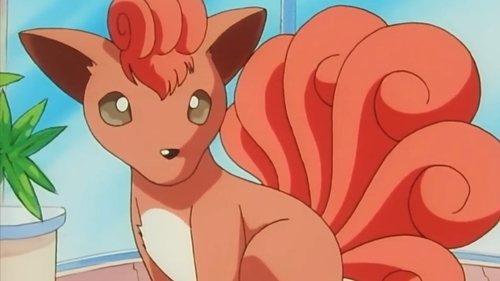 Pokémon - S1E28: Pokémon Fashion Flash