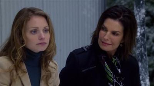 CSI: NY - S7E10: Shop Till You Drop