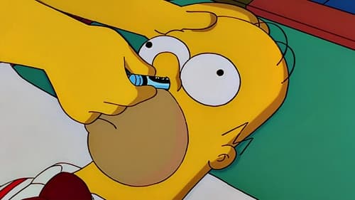 The Simpsons - S12E9: HOMЯ
