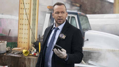 Blue Bloods - S10E19: Family Secrets