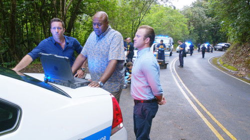 Hawaii Five-0 - S5E24: Luapoʻi (Prey)