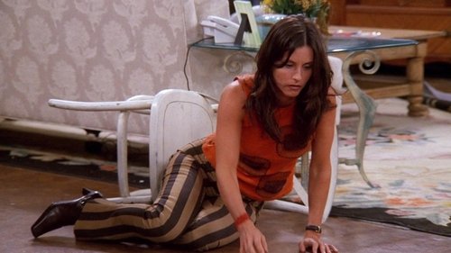 Friends - S8E7: The One with the Stain