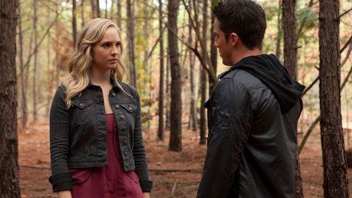 The Vampire Diaries - S2E10: The Sacrifice