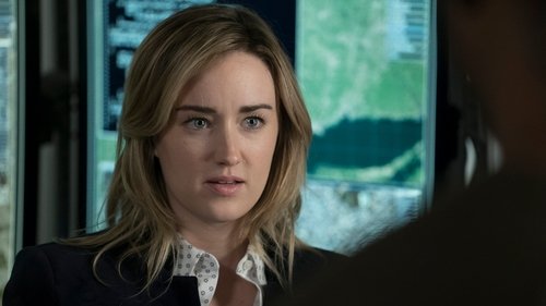 Blindspot - S2E11: Droll Autumn, Unmutual Lord