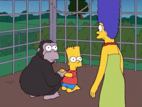 The Simpsons - S17E14: Bart Has Two Mommies