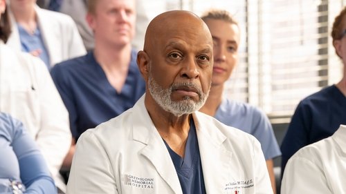 Grey's Anatomy - S21E14: Love in the Ice Age