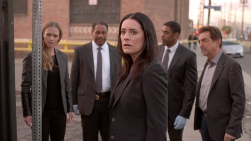 Criminal Minds - S11E19: Tribute