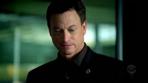CSI: NY - S3E11: Raising Shane