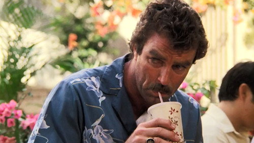 Magnum, P.I. - S6E17: Way of the Stalking Horse