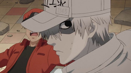 Cells at Work! - S1E2: Scrape Wound