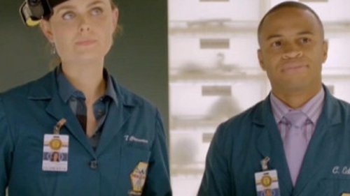Bones - S8E20: The Blood from the Stones