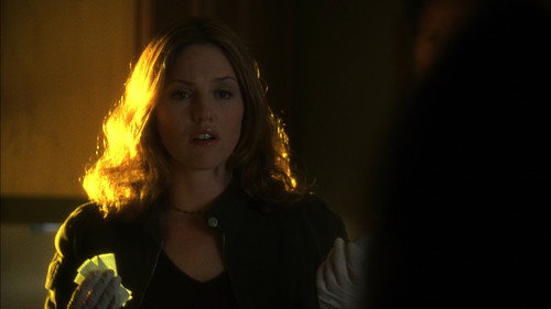 CSI: Crime Scene Investigation - S3E21: Forever