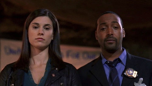 Law & Order - S17E4: Fear America