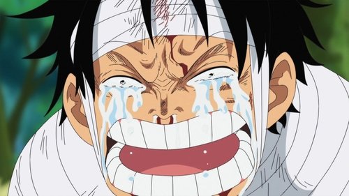 One Piece - S13E491: Landing at the Maiden Island! The Harsh Reality Falls upon Luffy!