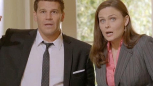 Bones - S8E13: The Twist in the Plot