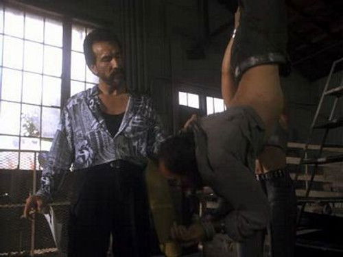 Miami Vice - S4E12: The Cows of October