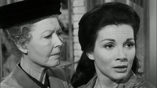 Perry Mason - S4E20: The Case of the Barefaced Witness