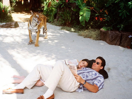 Lois & Clark: The New Adventures of Superman - S3E2: Ordinary People
