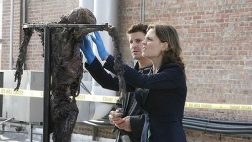 Bones - S2E11: Judas on a Pole