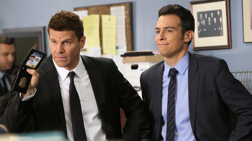 Bones - S11E11: The Death in the Defense