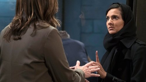 Law & Order: Special Victims Unit - S18E20: American Dream (1)