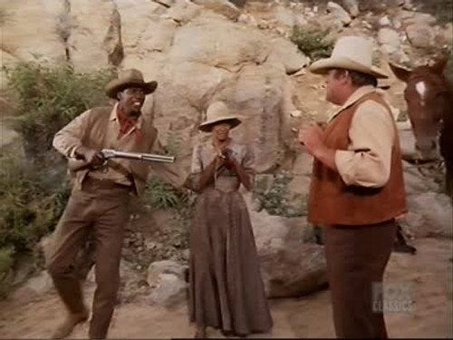 Bonanza - S12E19: The Desperado