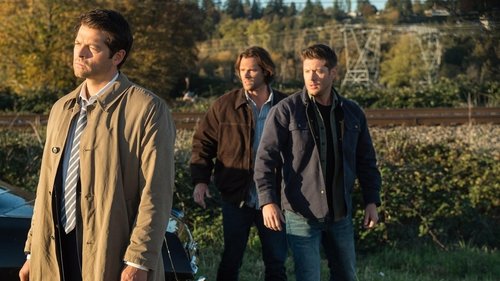 Supernatural - S12E8: LOTUS