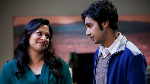 The Big Bang Theory - S12E20: The Decision Reverberation