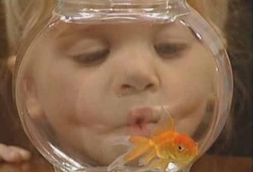 Full House - S4E17: A Fish Called Martin