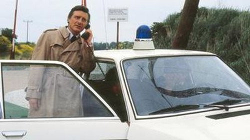 Scene of the Crime - S12E11: Episode 11