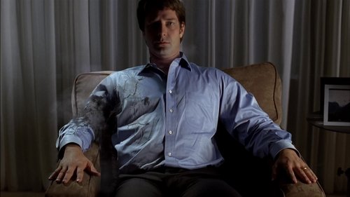Fringe - S2E6: Earthling