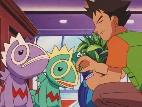Pokémon - S4E48: The Kecleon Caper