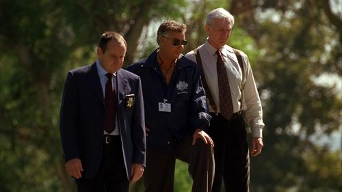 CSI: Crime Scene Investigation - S3E2: The Accused Is Entitled
