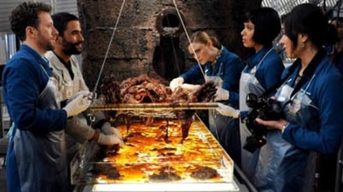 Bones - S9E17: The Repo Man in the Septic Tank