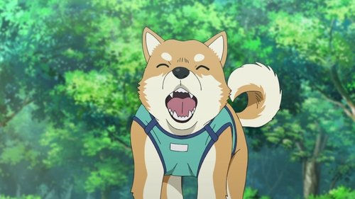 Detective Conan - S1E1081: My Beloved Dog Pan-kun Is a Good Boy