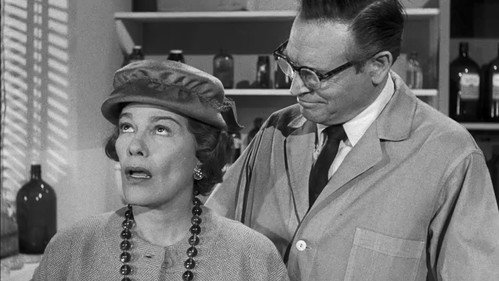 Perry Mason - S4E22: The Case of the Cowardly Lion